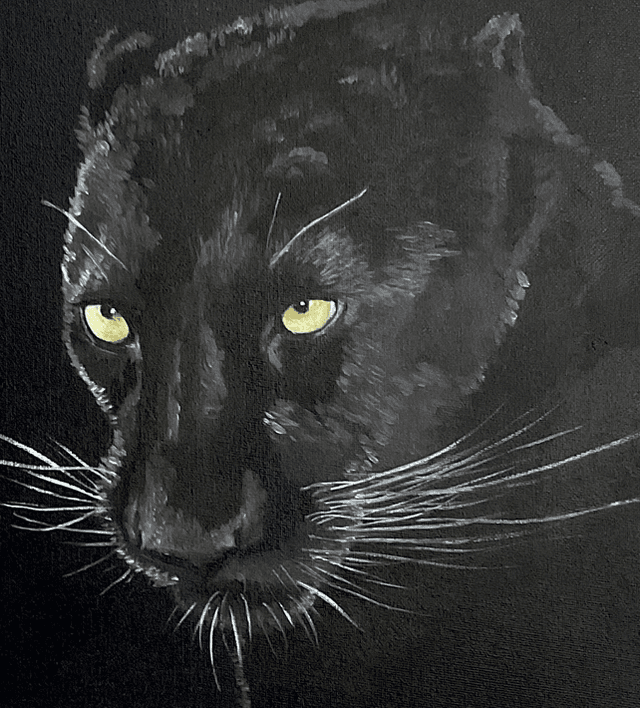 Original study in oils, Black Panther