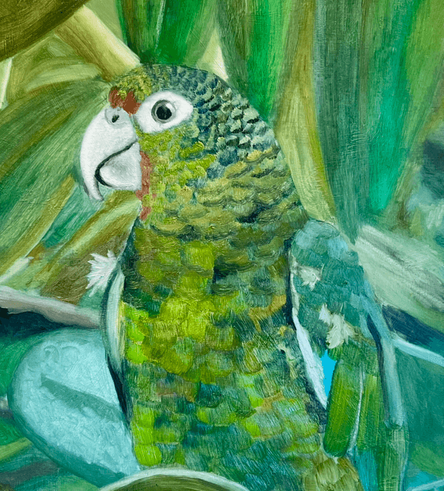 Original study in oils, Green Parrot